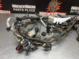 11-16 FORD F250 6.7 POWERSTROKE INJECTOR HARNESS DC3T-12B637-R59CL OEM #W440