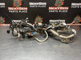 11-16 FORD F250 6.7 POWERSTROKE INJECTOR HARNESS DC3T-12B637-R59CL OEM #W439