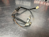 2004-2006 PONTIAC GTO REAR LICENSE PLATE LIGHT HARNESS OEM #1293