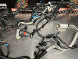 2012 CORVETTE LS3/TR6060 M/T ENGINE WIRING HARNESS W ECM 22815156/12647990 #1038